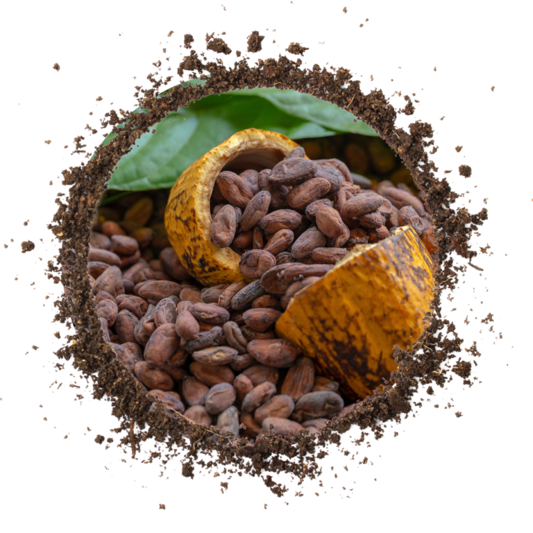 <p>08H - CAFÉ DA MANHÃ</p><p>09H - Crie seu Amuleto Perfumoso Ritualístico - com rosas e óleos essenciais.</p><p>11H - Círculo de cura, oração & proteção</p><p>12H - ALMOÇO DELICIOSO</p><p>14H - Vivência e Oráculo das Sacerdotisa das Rosas</p><p>15h - Elixir e Alquimias Rosas para Ísis</p><p>Ritual de Liberação e Despedida</p>